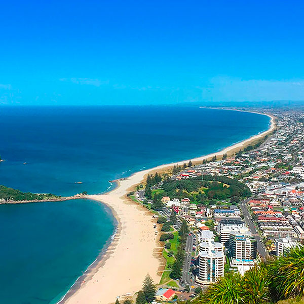 Tauranga